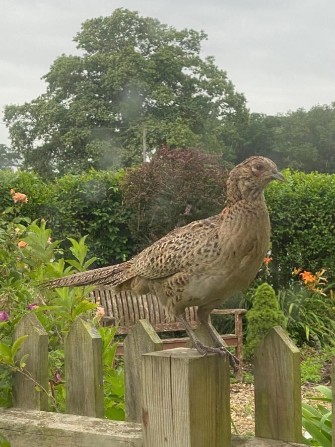 Badgers Rest Loddon Holiday home *